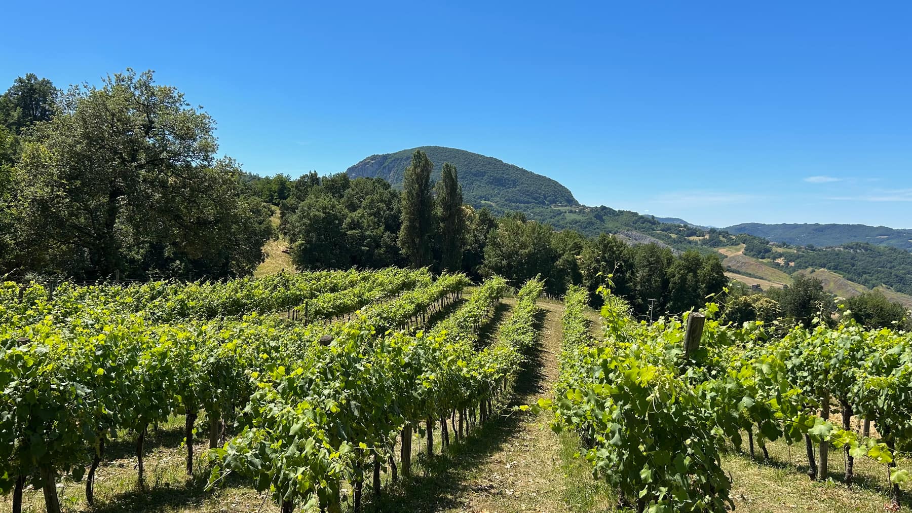 Le colline dell'Appennino reggiano verso Canossa